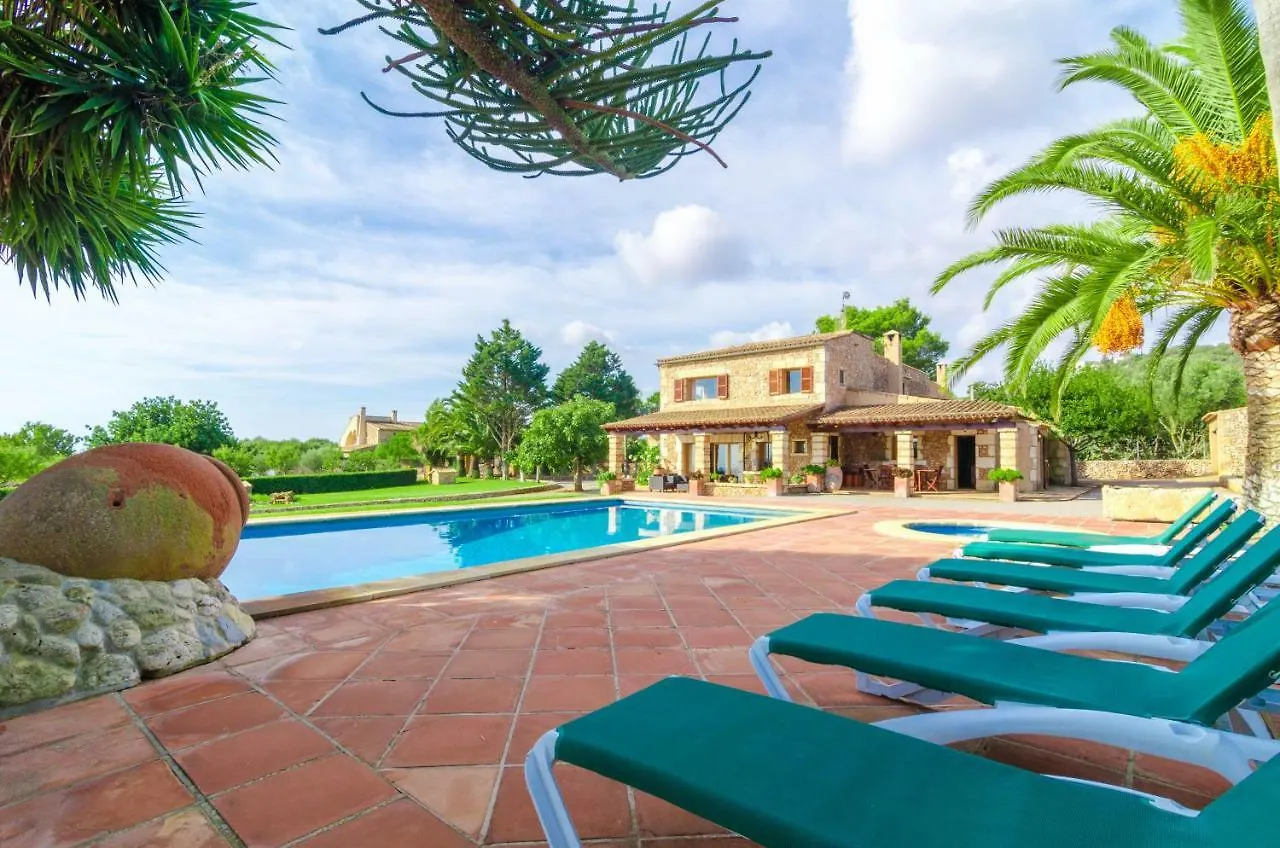 Finca Can Bosco 8 Son Carrio  0*, Son Carrio (Llevant)